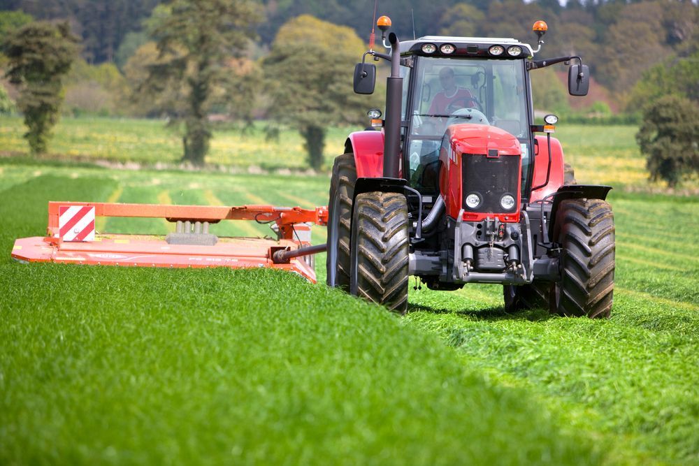 Cutting Tall Grass — J.A. Slashing in Cairns, QLD