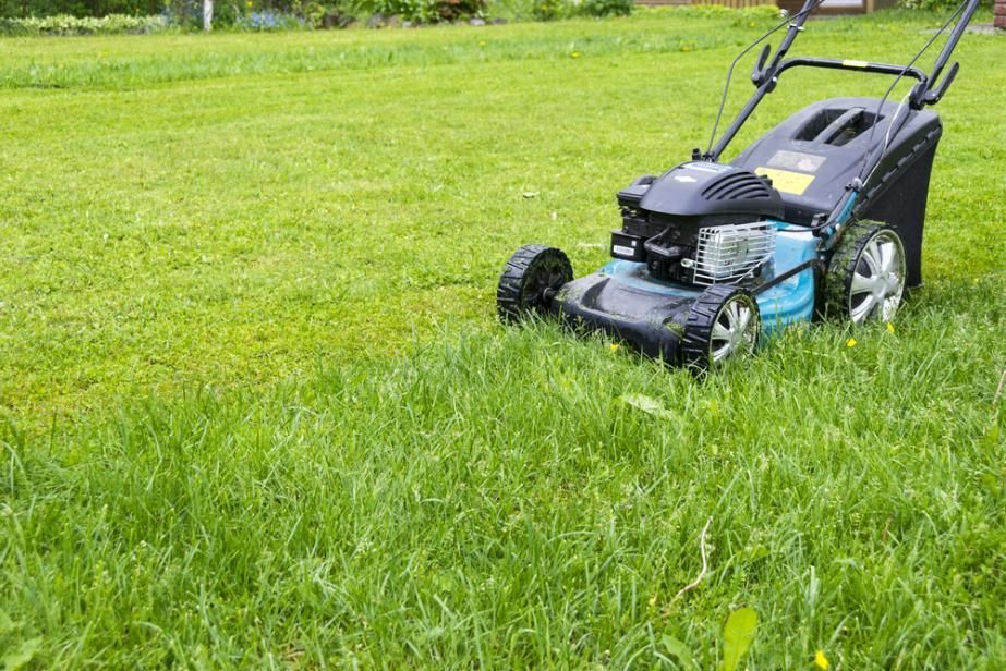 A Lawn Mower is Cutting a Lush Green Lawn — J.A. Slashing in Cairns, QLD