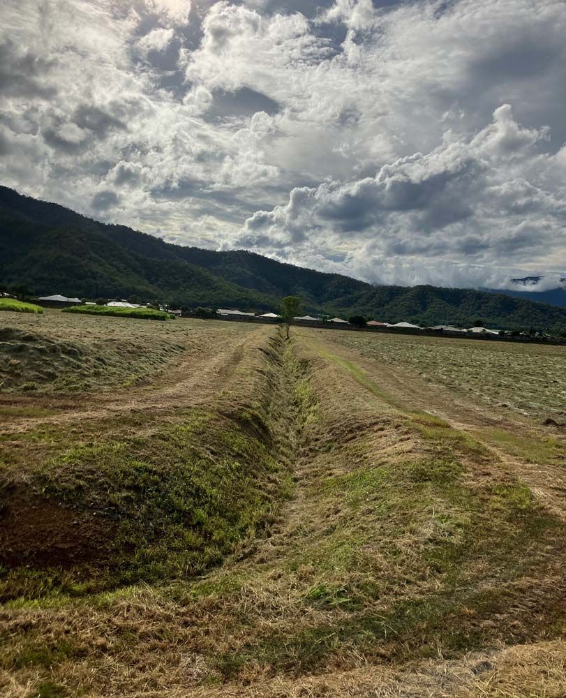 Newly Cut Grass — J.A. Slashing in Cairns, QLD