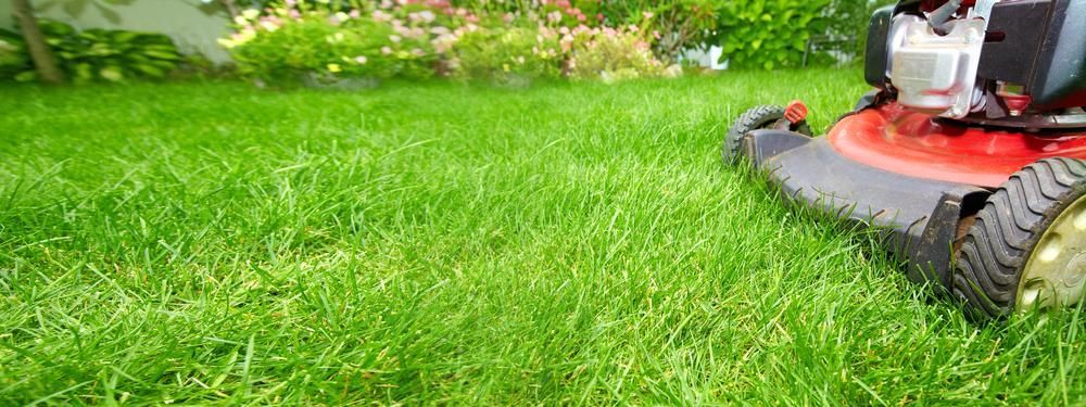 A Lawn Mower is Cutting a Lush Green Lawn — J.A. Slashing in Palm Cove, QLD