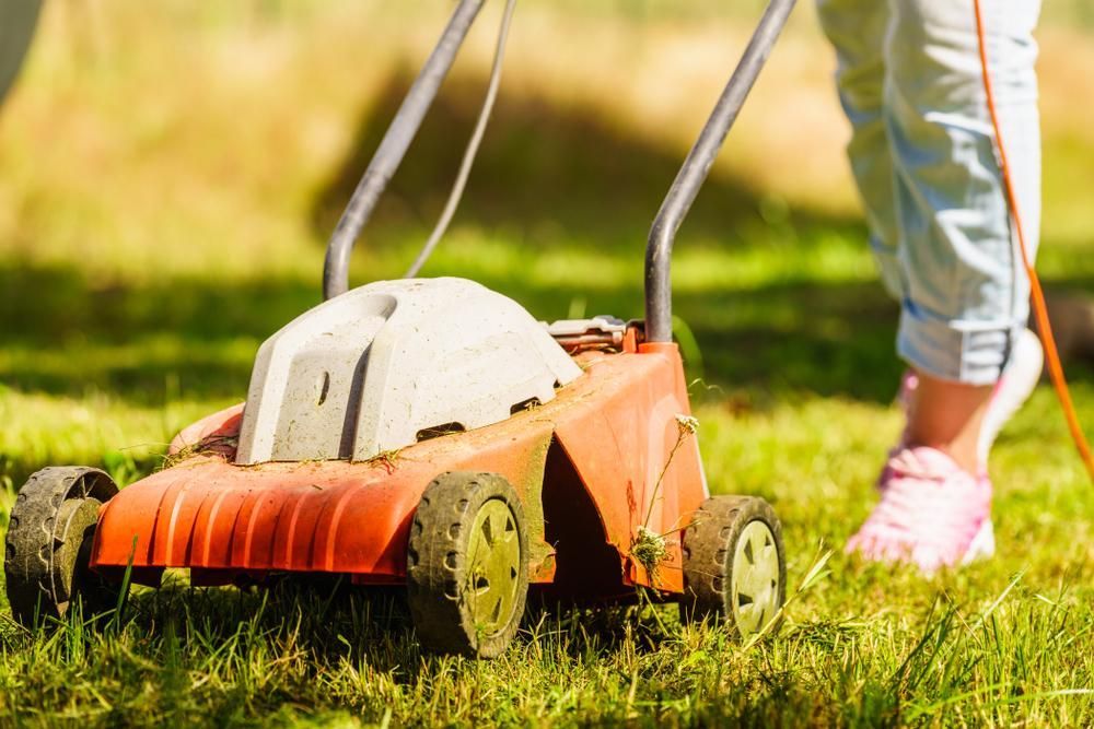 A Person is Using a Lawn Mower to Cut the Grass — J.A. Slashing in Palm Cove, QLD