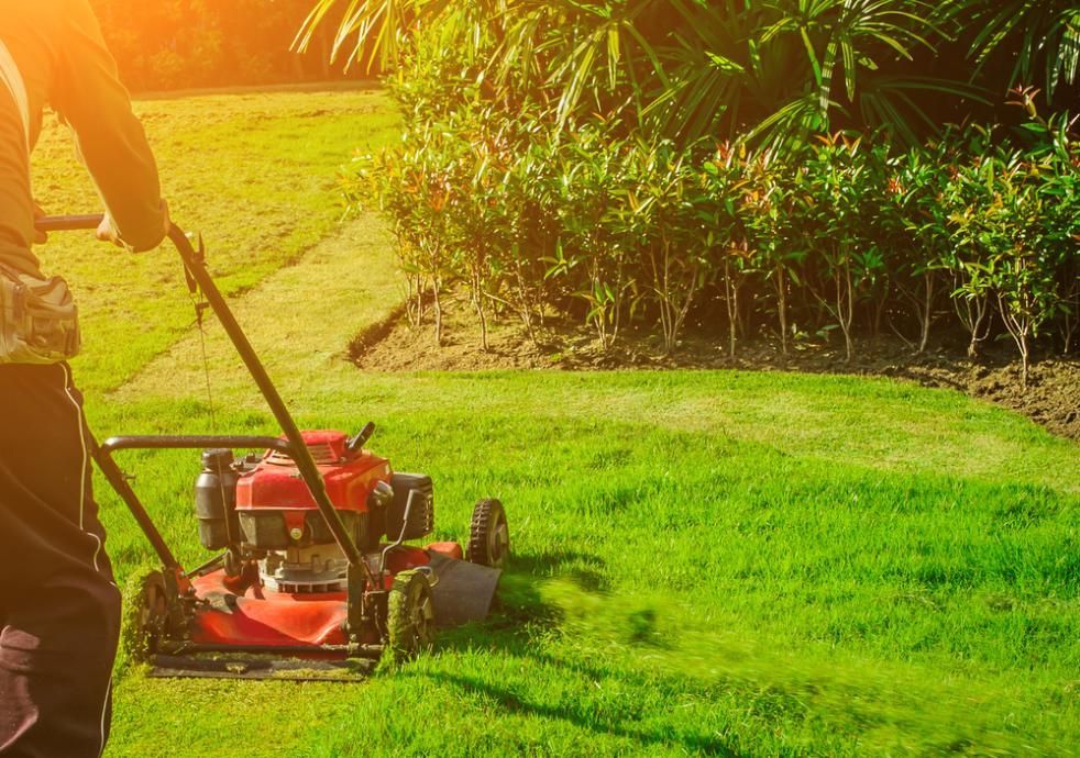 A Man is Mowing a Lush Green Lawn With a Lawn Mower — J.A. Slashing in Gordonvale, QLD