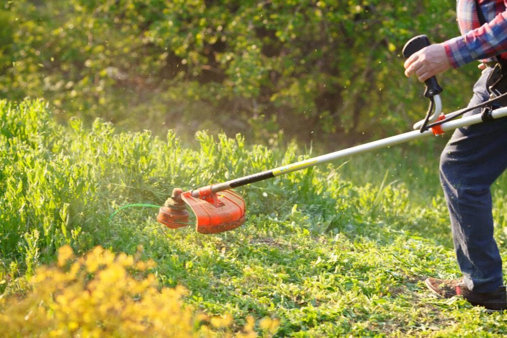 A Man is Mowing the Grass With a Lawn Mower — J.A. Slashing in Gordonvale, QLD