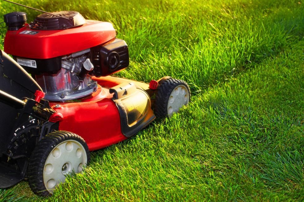A Red Lawn Mower is Sitting on Top of a Lush Green Lawn — J.A. Slashing in Gordonvale, QLD