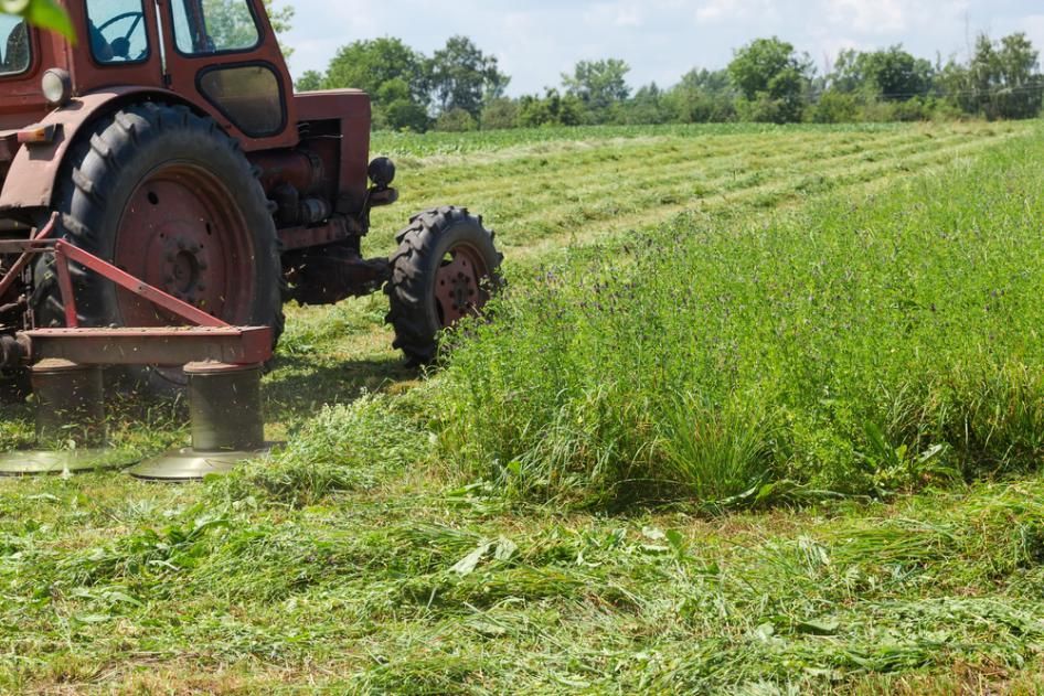 A Red Tractor is Cutting Grass in a Field — J.A. Slashing in Smithfield, QLD
