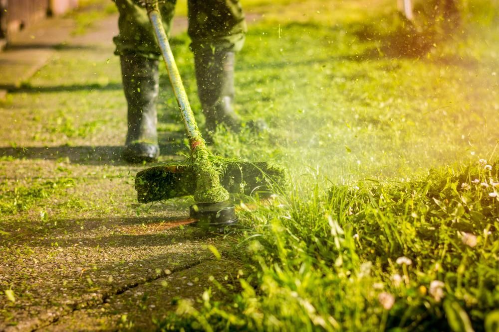 A Person is Mowing the Grass With a Lawn Mower — J.A. Slashing in Palm Cove, QLD