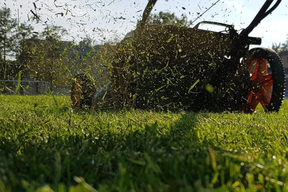 A Person is Mowing a Lush Green Lawn With a Lawn Mower — J.A. Slashing in Palm Cove, QLD