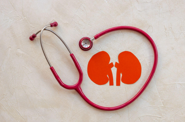 Can Ozempic Reduce Risks from Chronic Kidney Disease in Diabetes Patients? Can Ozempic Reduce Risks from Chronic Kidney Disease in Diabetes Patients?