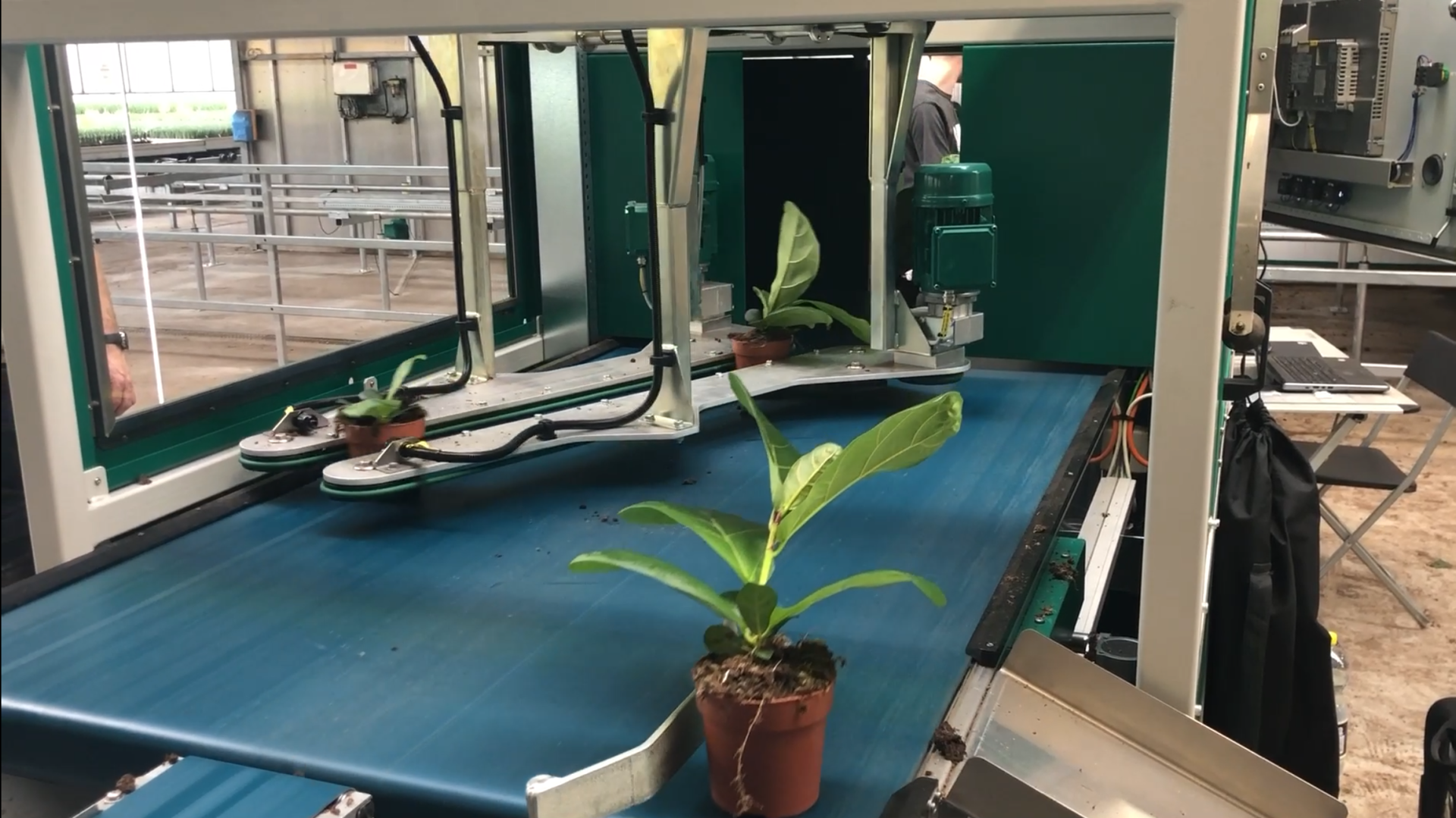 Plantesortering