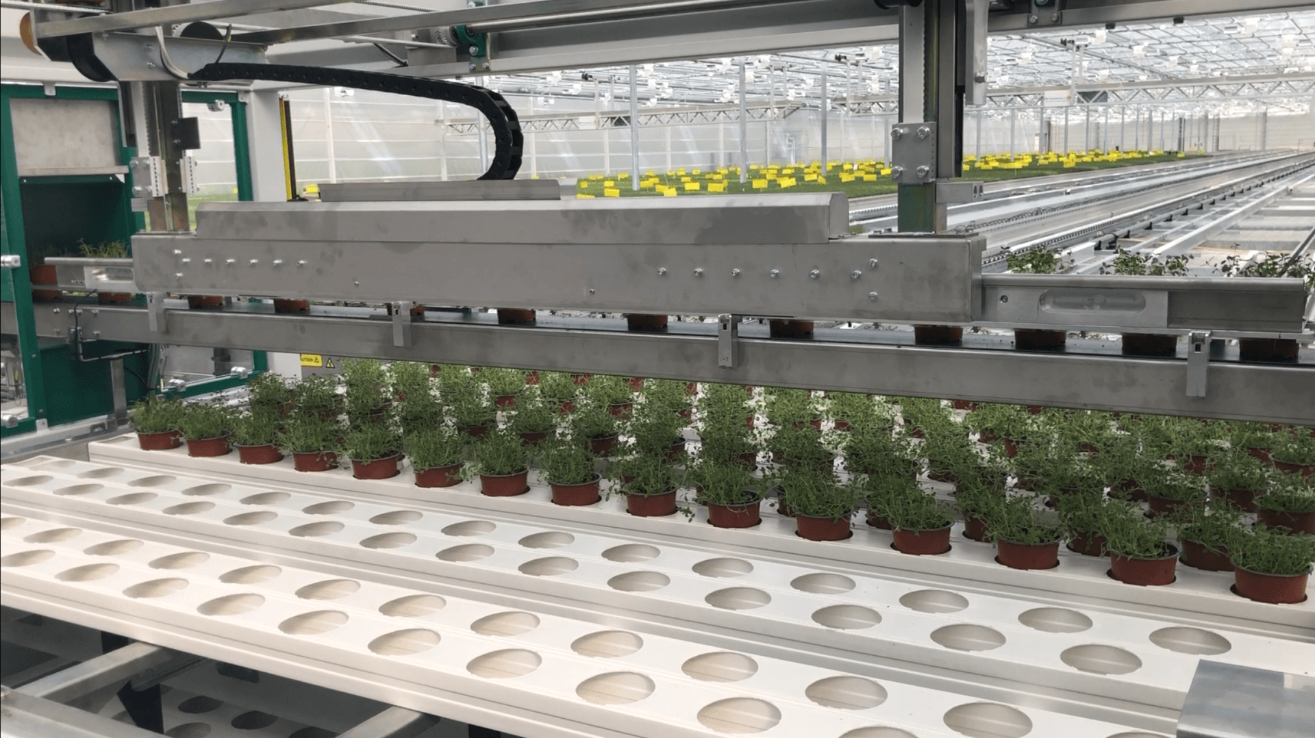 Bekidan nedsætter robot. Den flytter planter