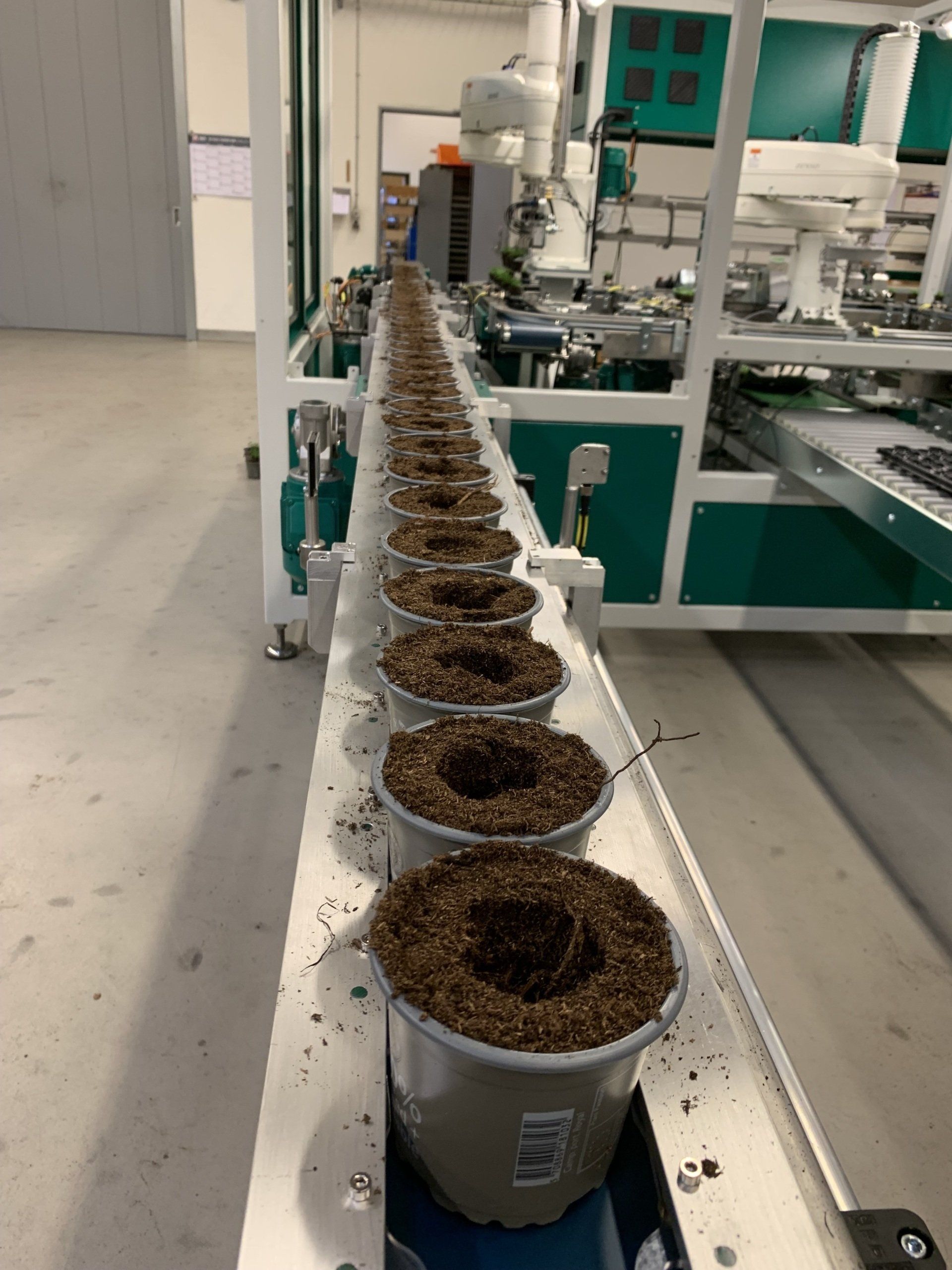 Planterobot i potter med træ flis