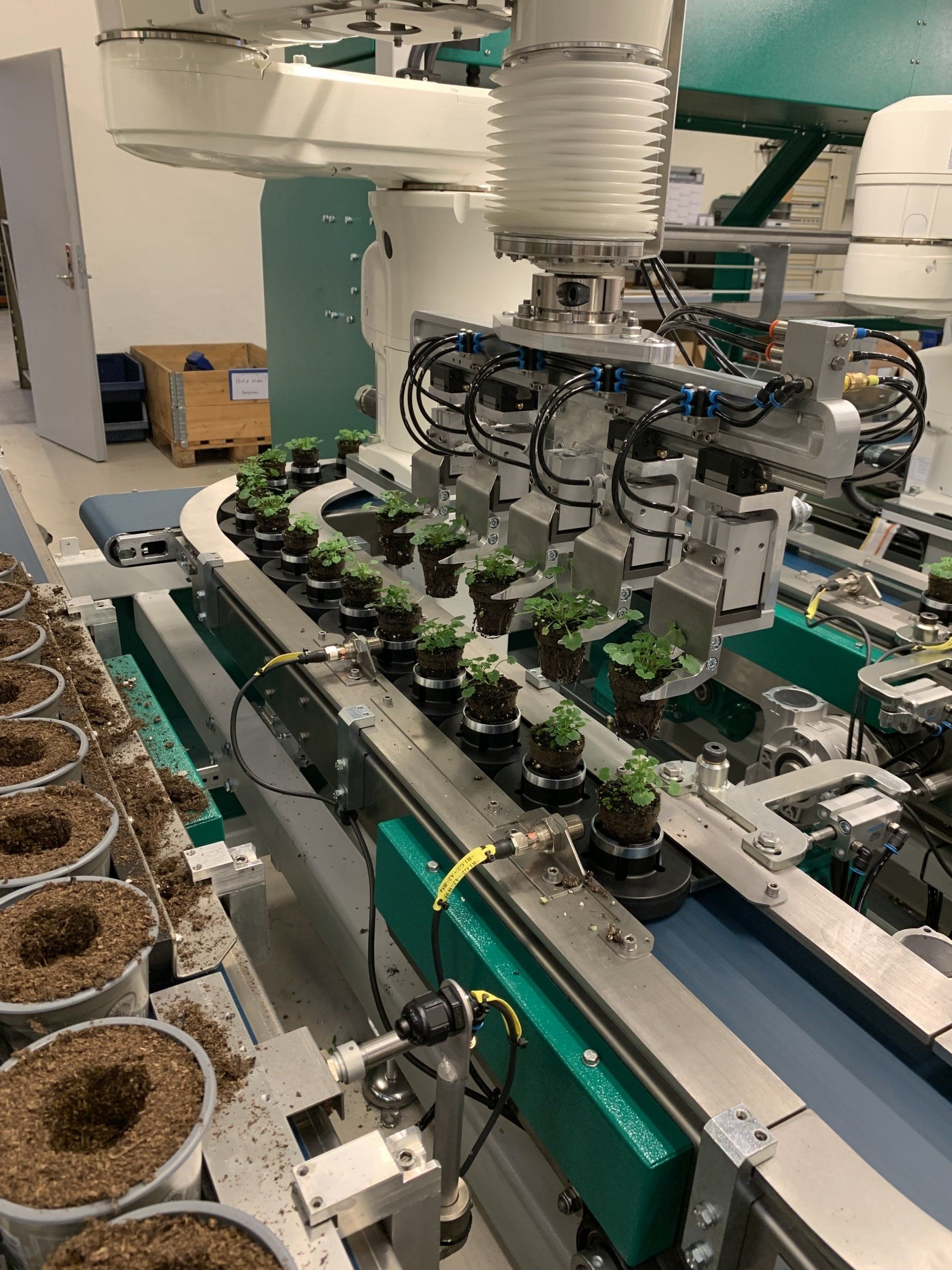 Planterobot med de små nye planter