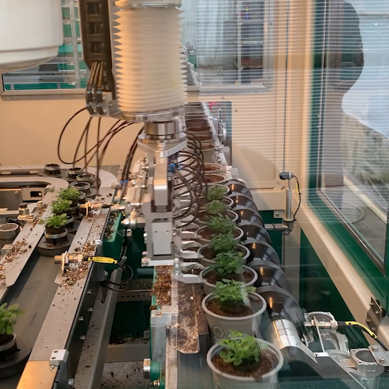 Bekidan planterobot