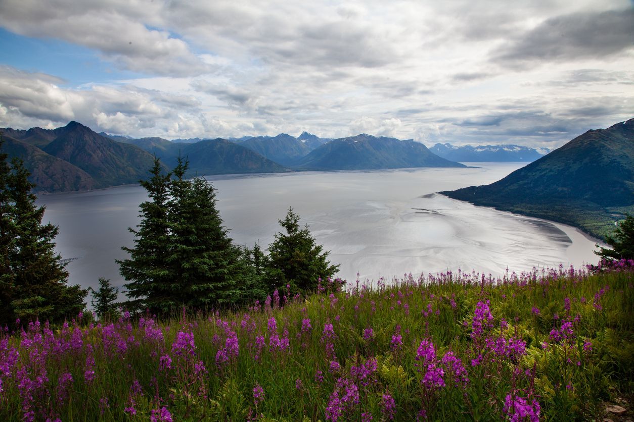 Turnagain Arm Alaska photo view