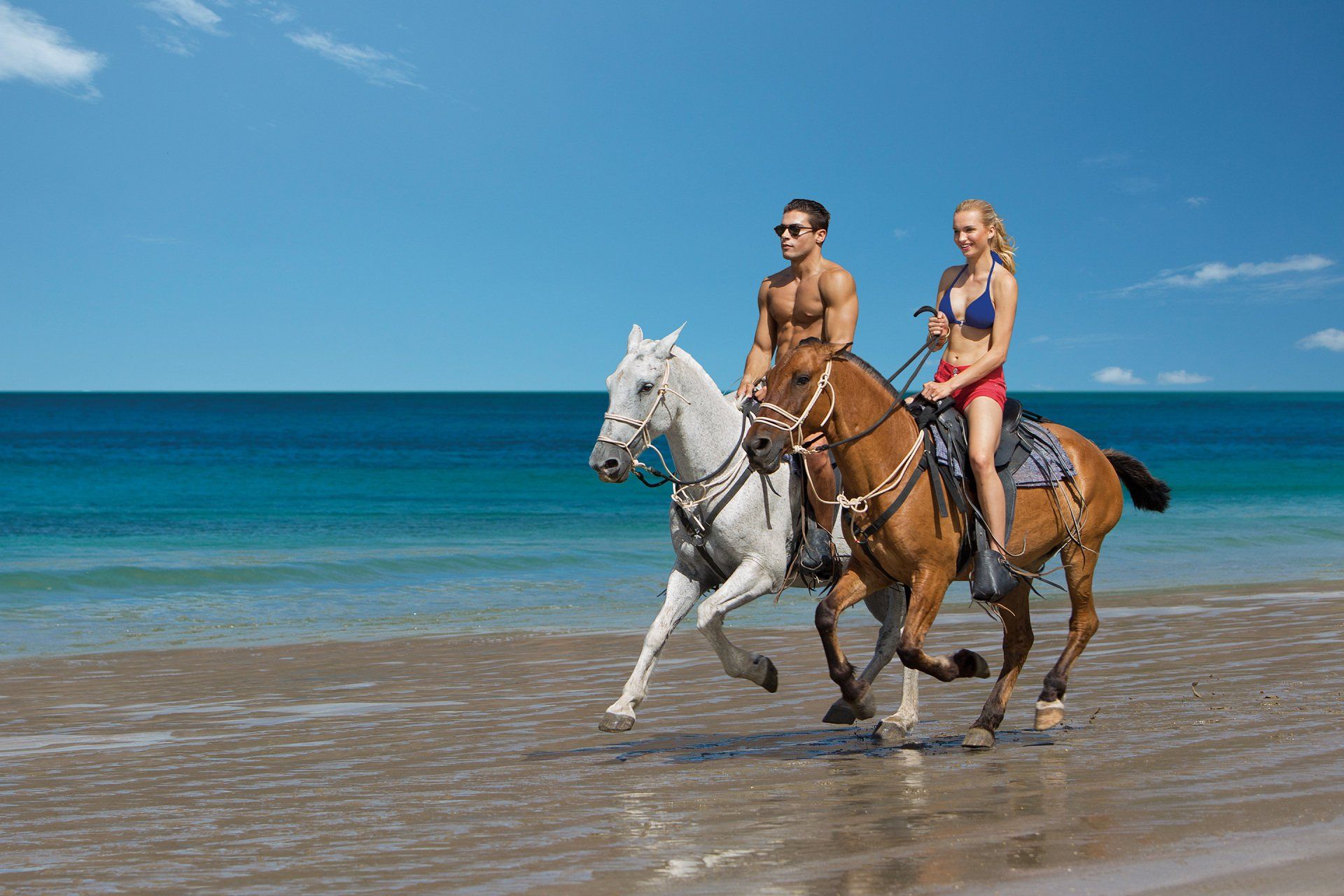 Ride the chariot. Лошадь на пляже. Катание на лошадях на пляже. Фото с лошадью на пляже. Скачки на пляже.