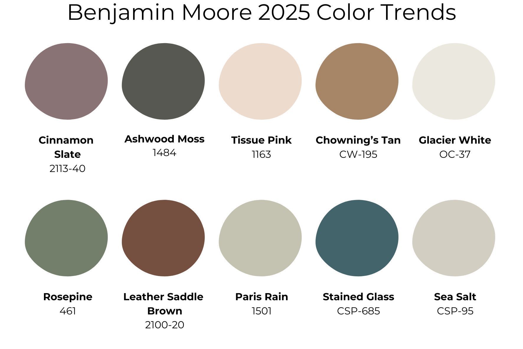 The Palette of Comfort: Benjamin Moore's Top Color Picks for 2025