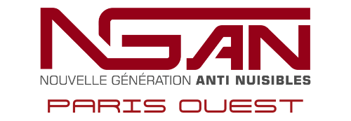 Un logo rouge et blanc pour nean sur fond blanc