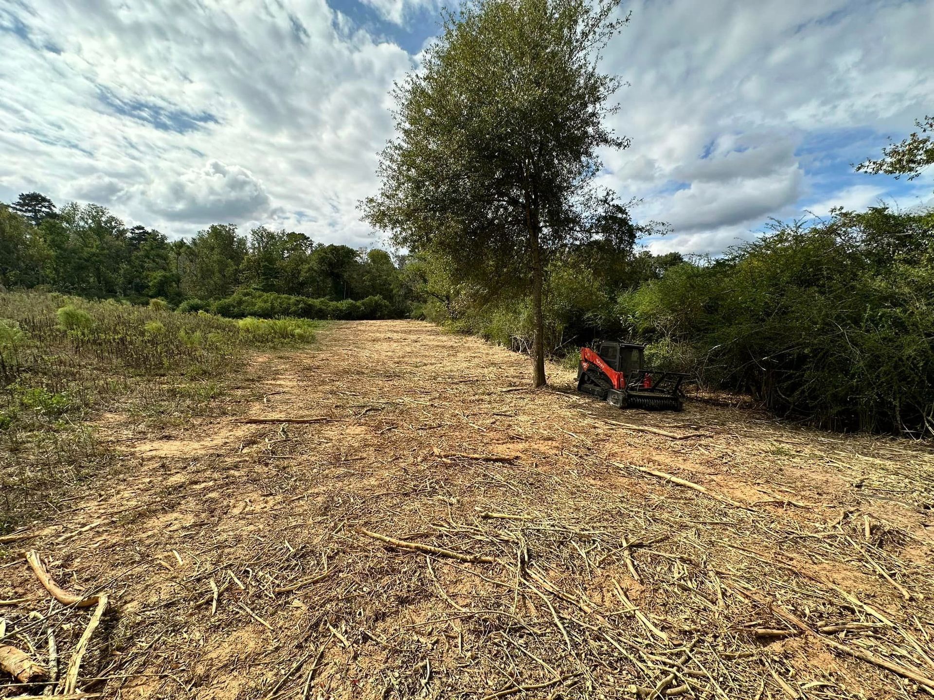 A cleared field with a small tree and a machine, under a cloudy sky. The ground is covered with wood debris.