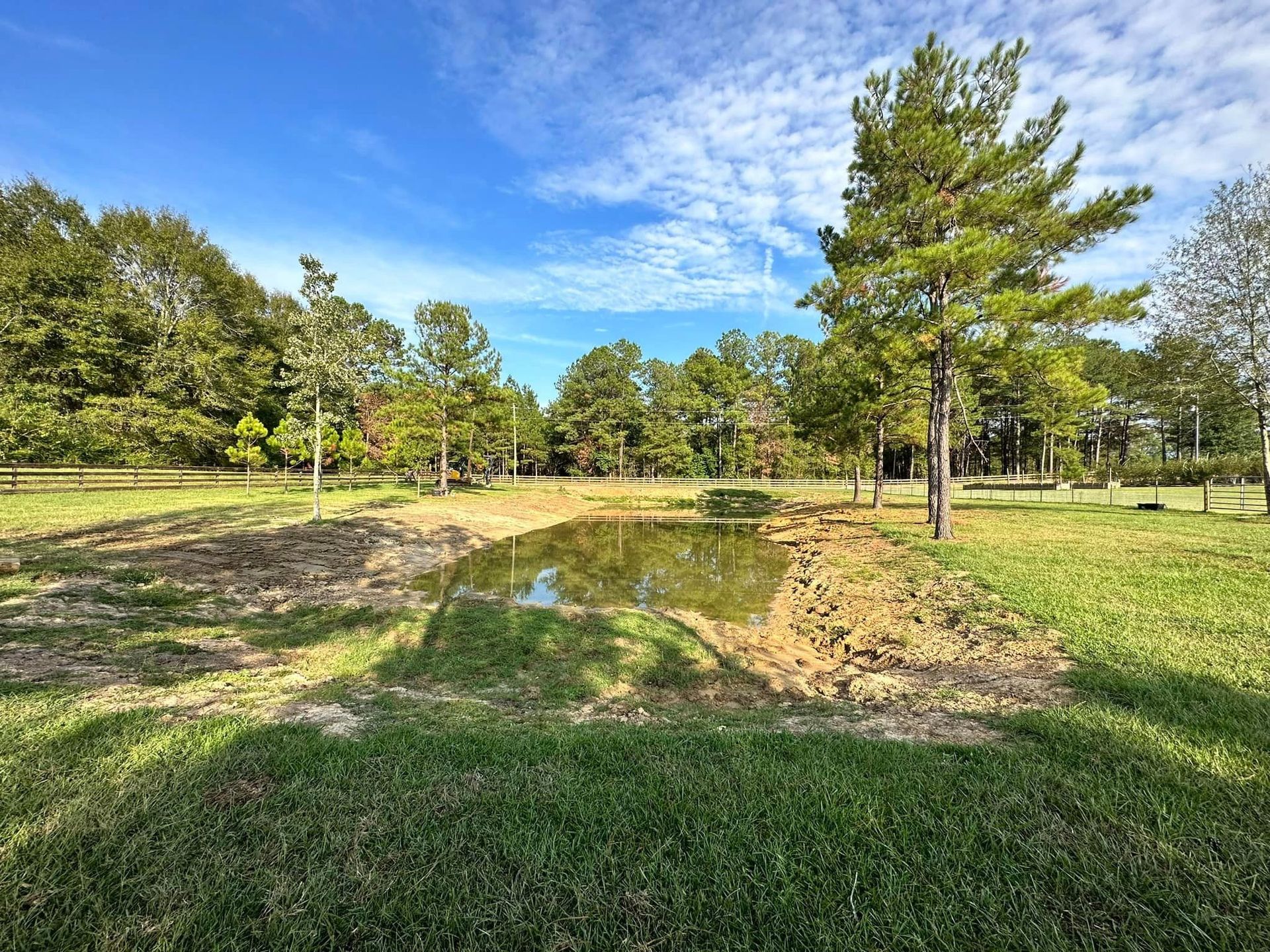 Pond in a grassy field with trees under a blue sky.