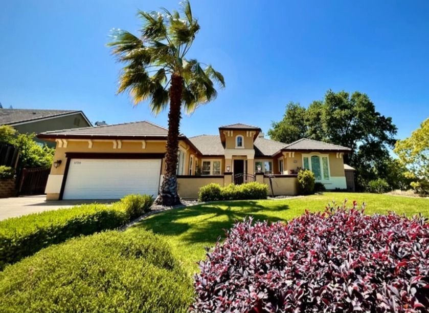 A house with a palm tree in front of it