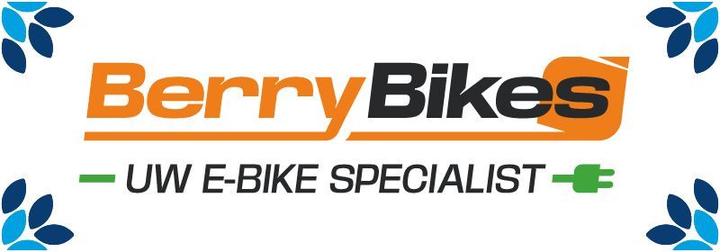 Logo voor Berry Bikes, UW E-Bike Specialist. Oranje en zwarte tekst met een afbeelding van een groene stekker.