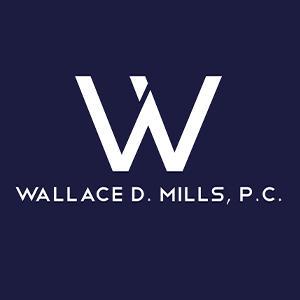 Complex Litigation Lawyer in Macon County