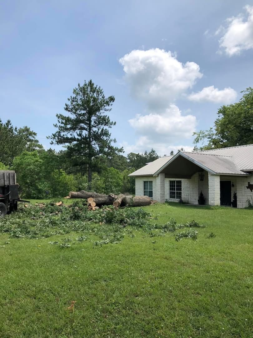 A house with a lot of trees in front of it.