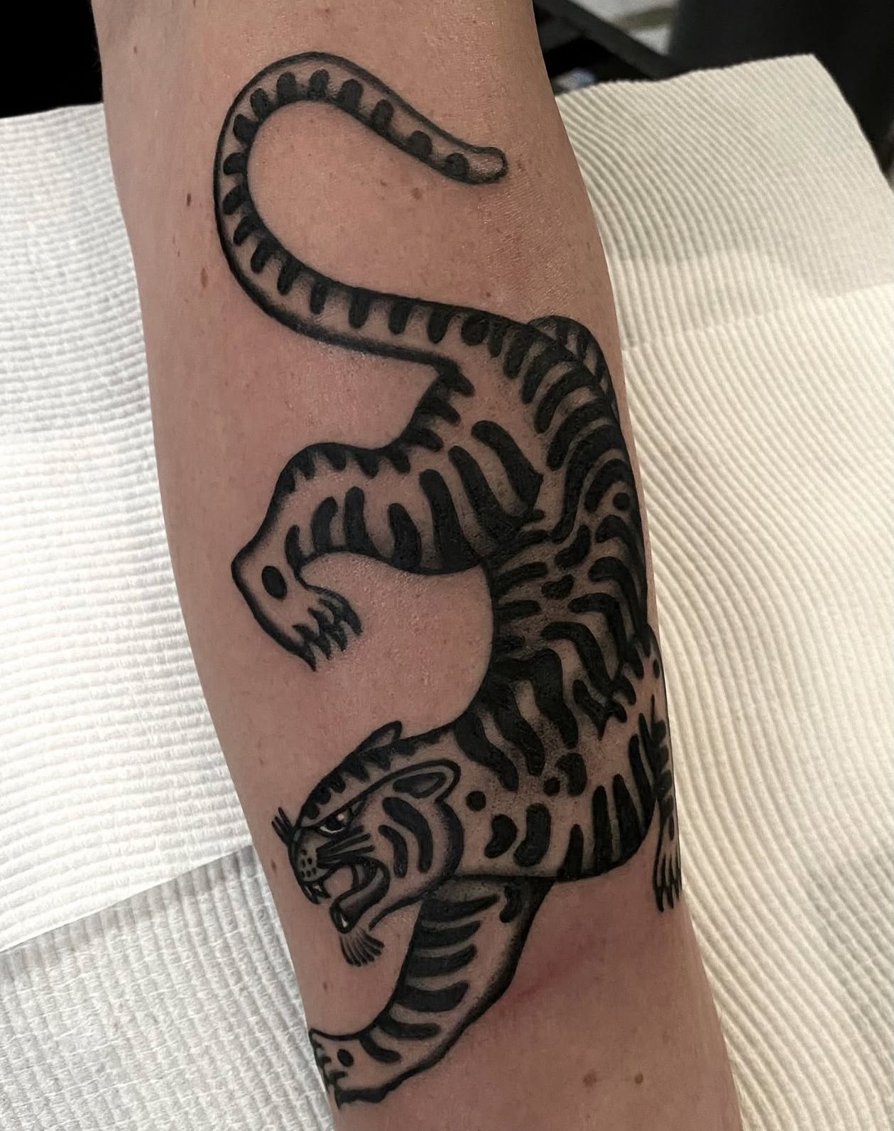 Black tiger tattoo on a forearm, with curved back and snarling face.