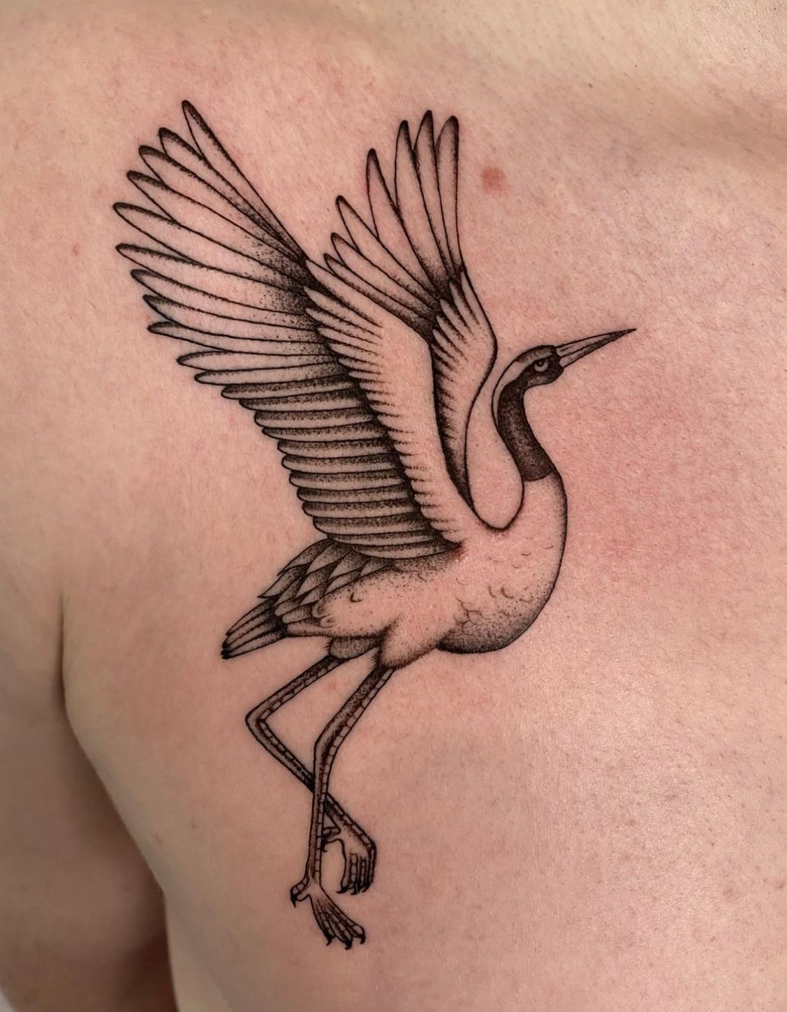 Tattoo of a crane in flight, with black and white details on a person's chest.