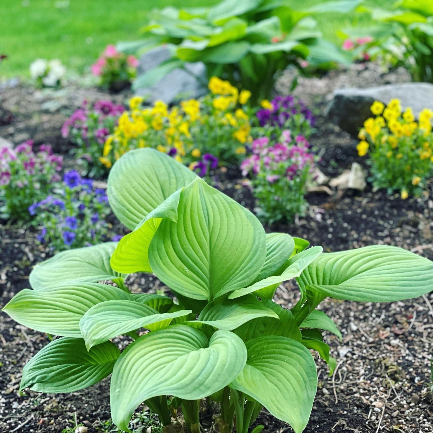 sustainable landscapes at wyeast gardens