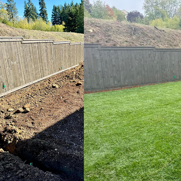 before and after lawn installation