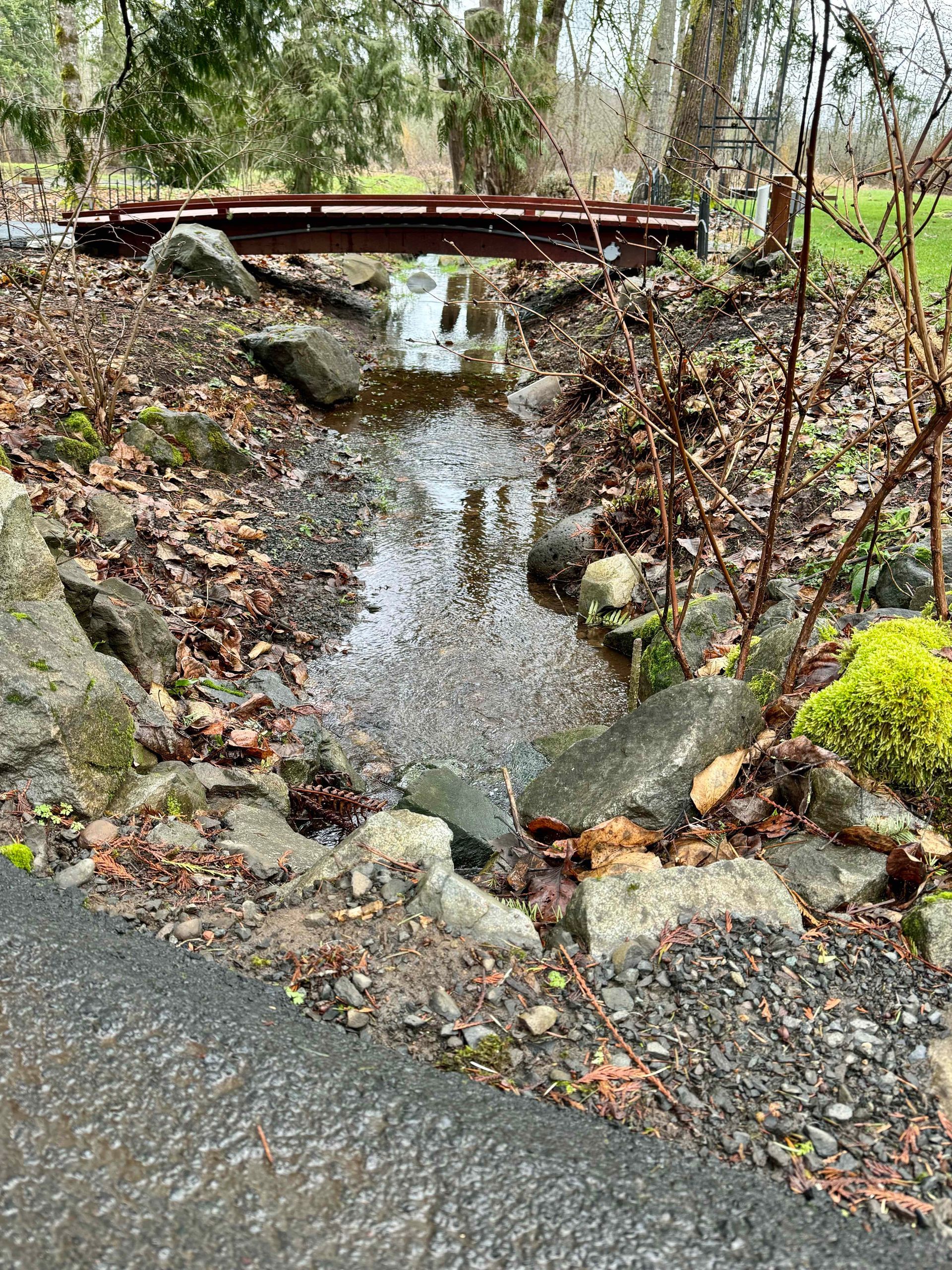 drainage for seasonal pond - wyeast gardens