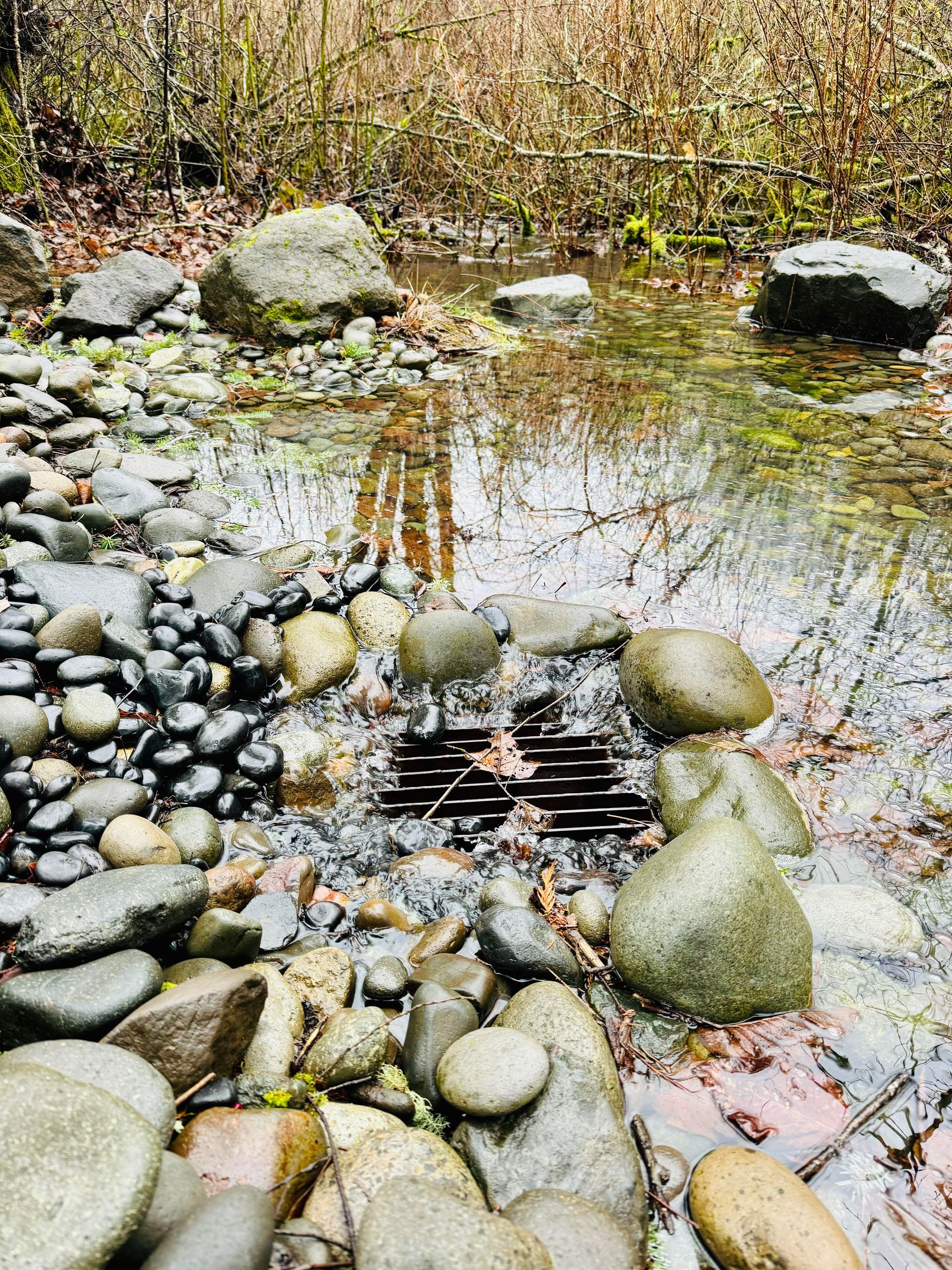 drainage landscapes at wyeast gardens