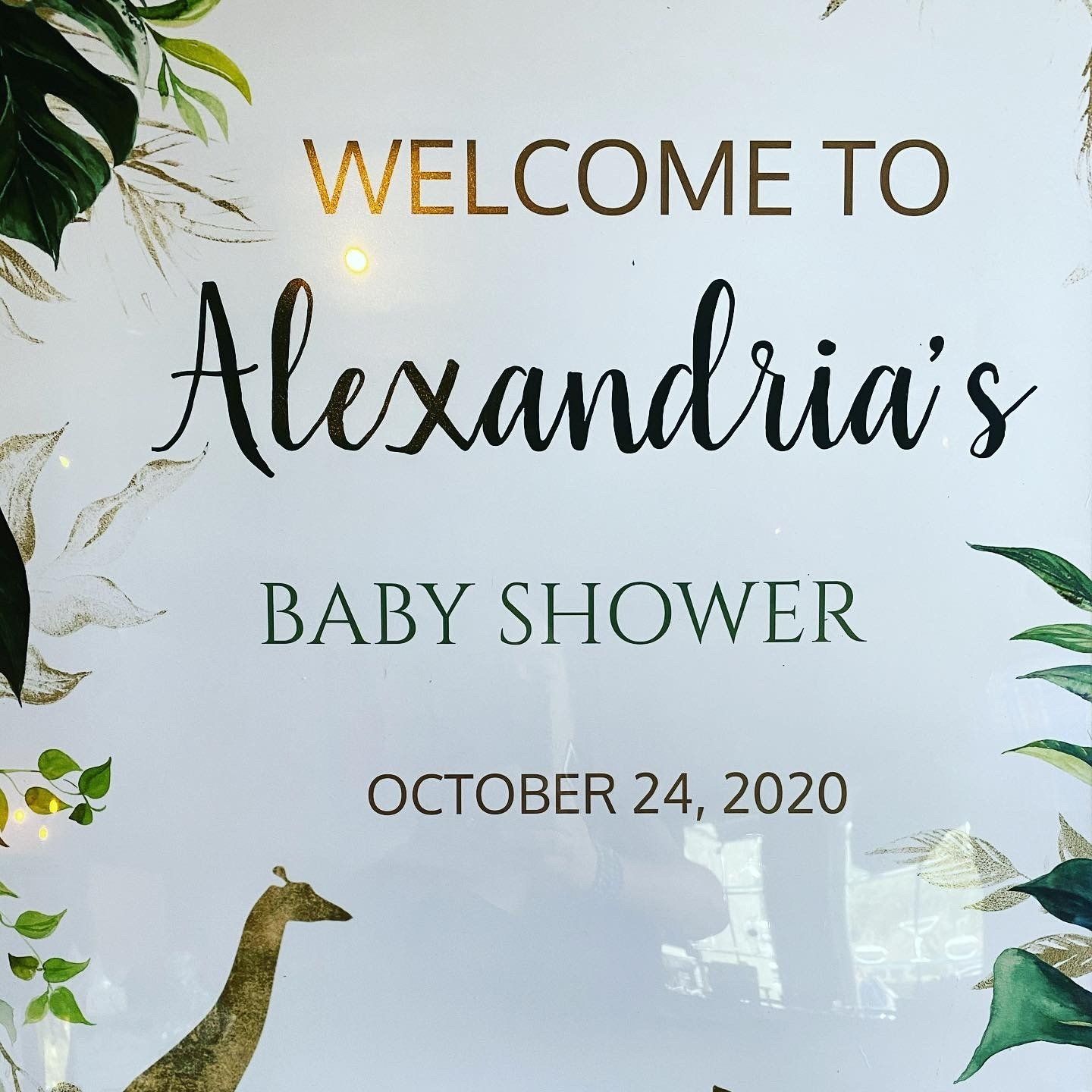 A sign that says welcome to alexandria 's baby shower
