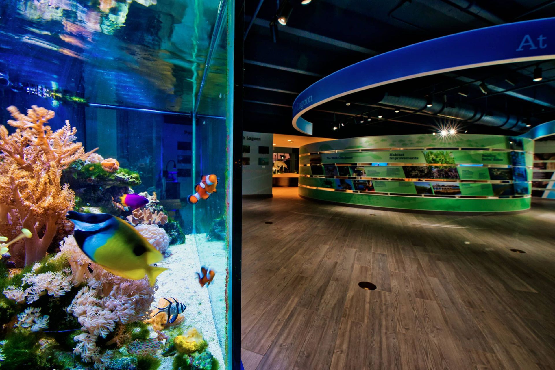 Manatee Lagoon Venue Box