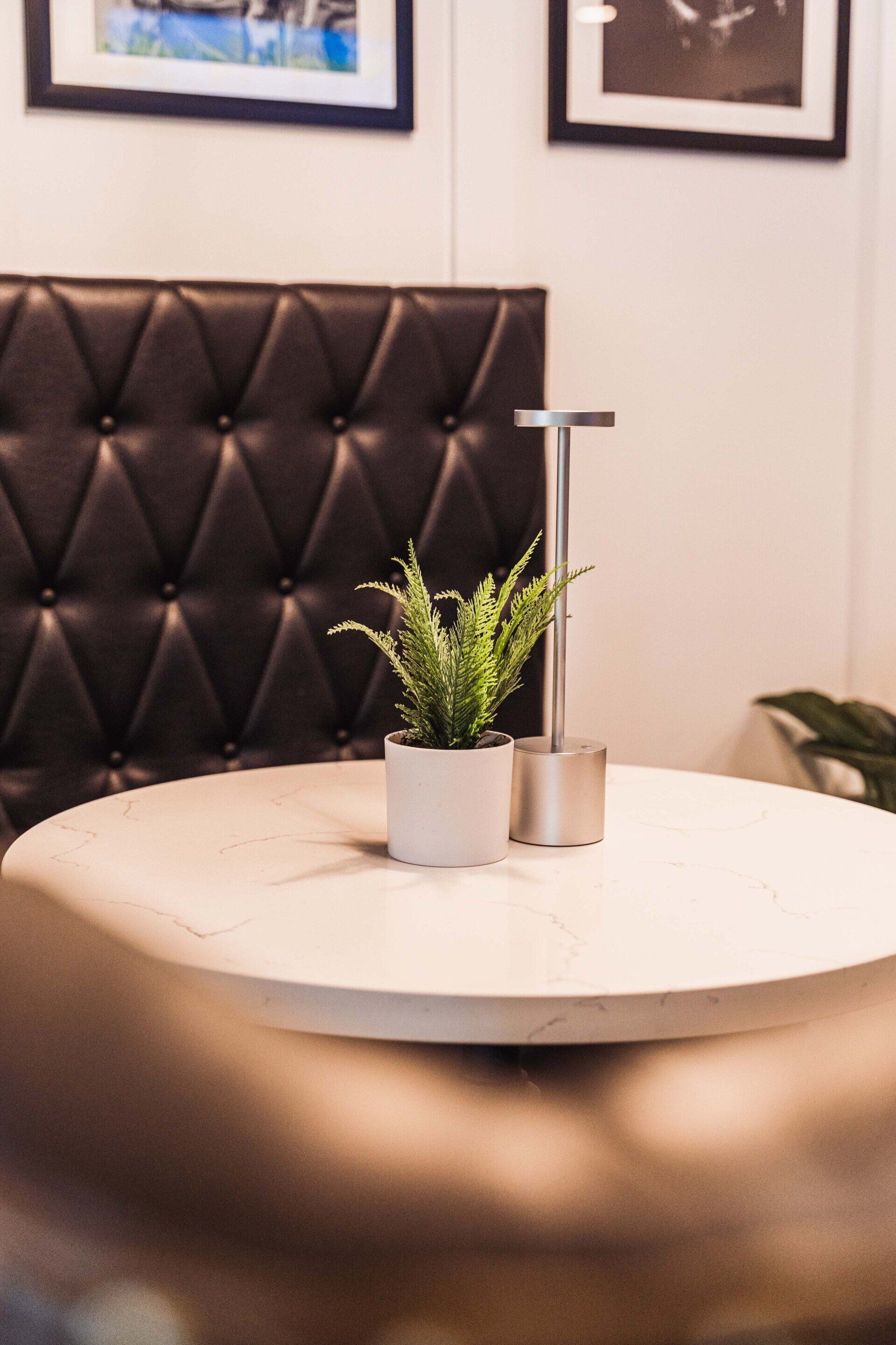 A potted plant is sitting on a round table in a room.