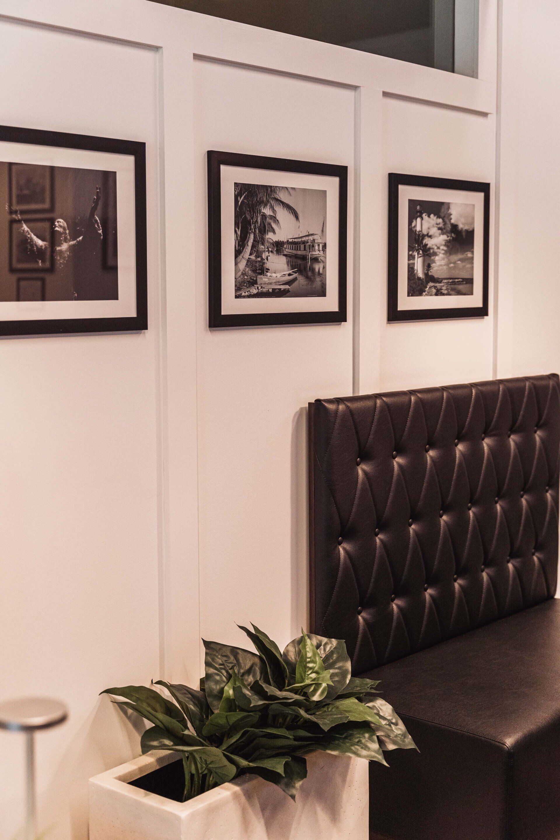 A couch and a potted plant in a room with pictures on the wall