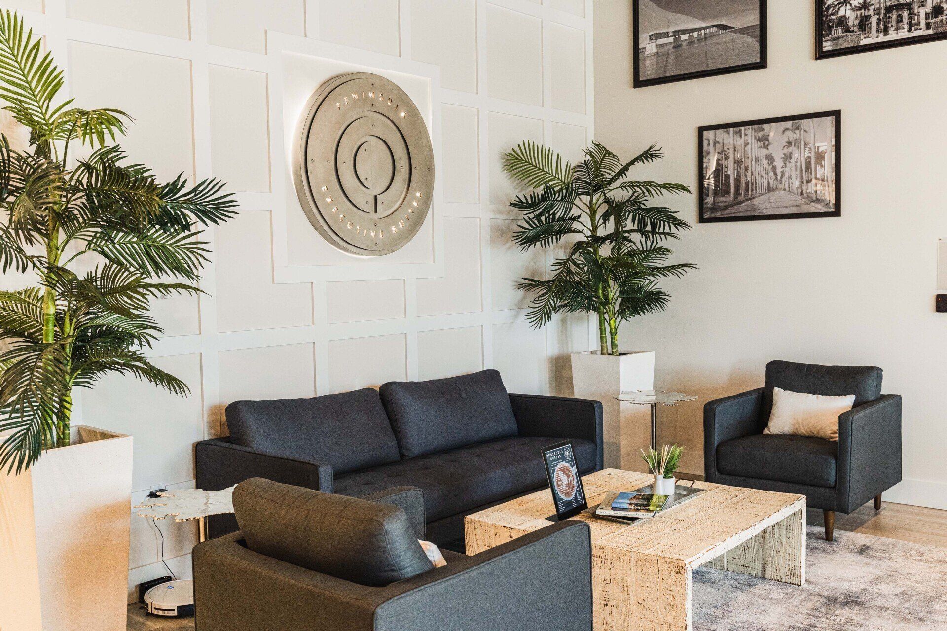 A living room with a couch , chairs , coffee table and plants.