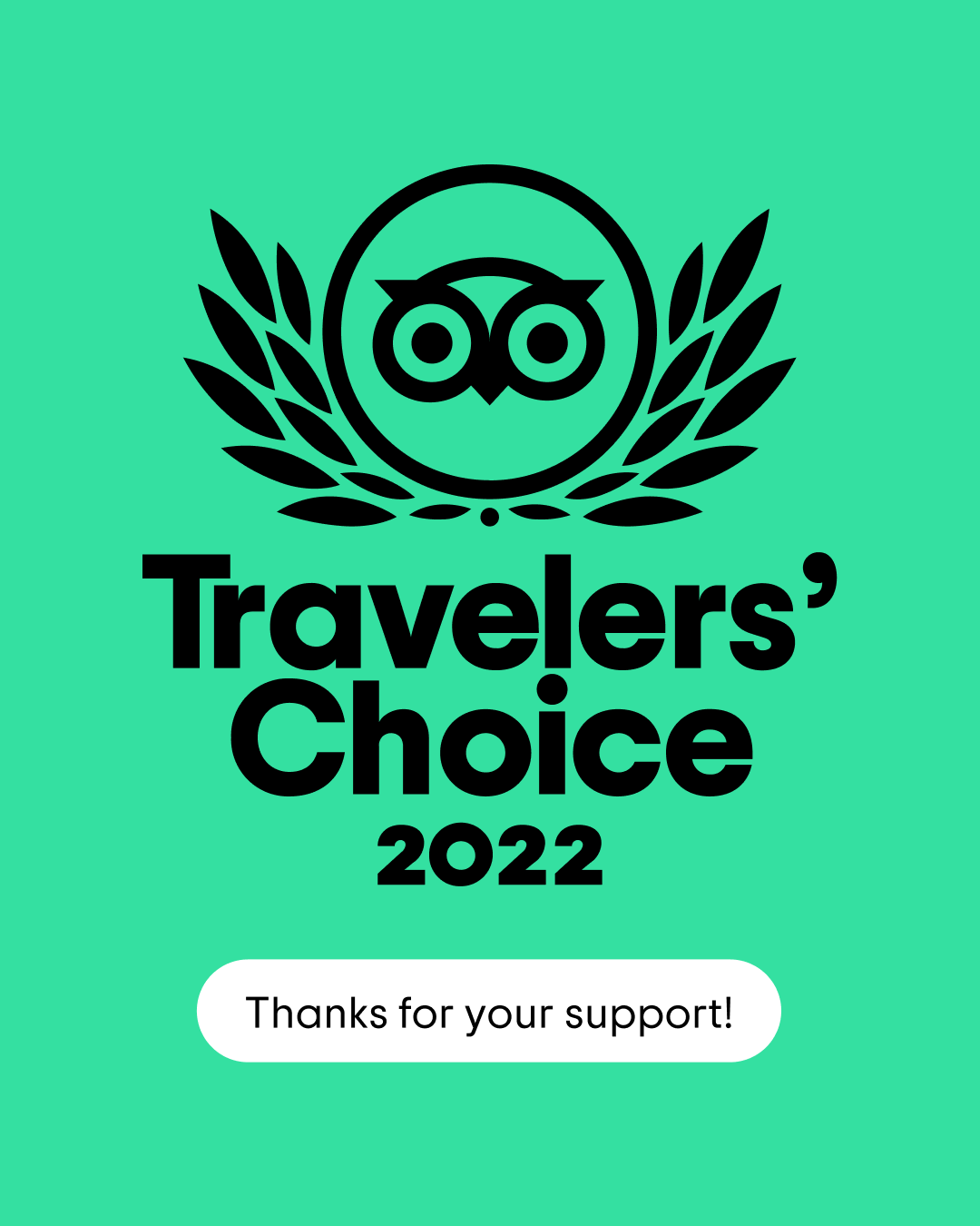 The logo for travelers choice 2022 is on a green background.