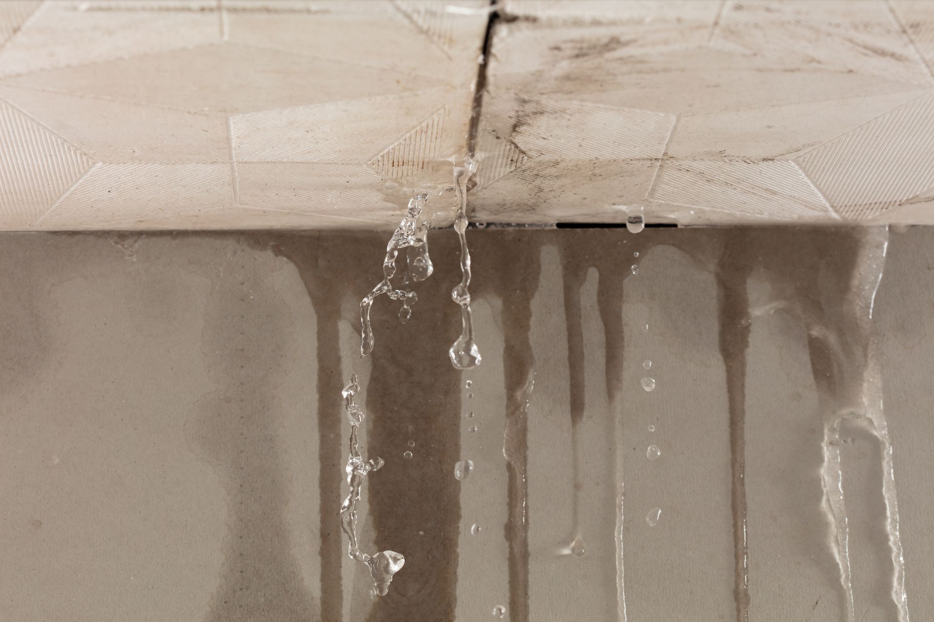 Ceiling leak causing water to drip through damaged ceiling tiles