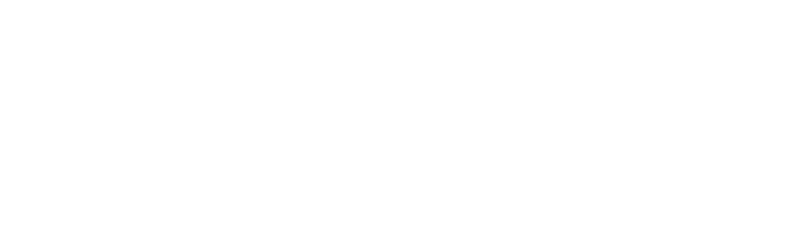 Nano Concepts Logo white