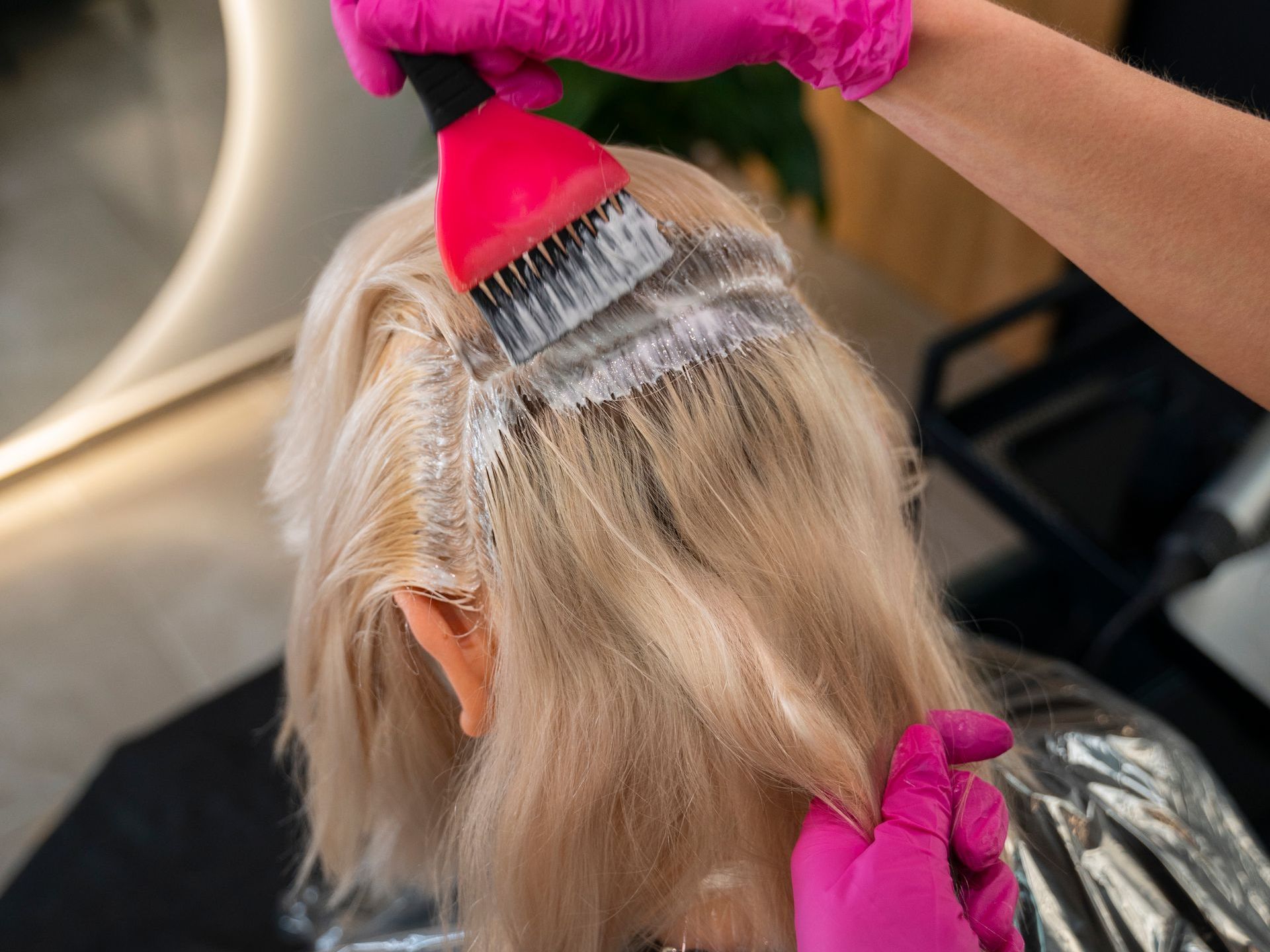 La Foret La Blanqueada