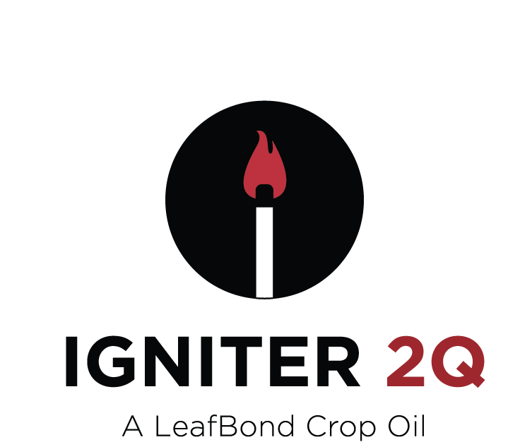 Igniter 2Q logo