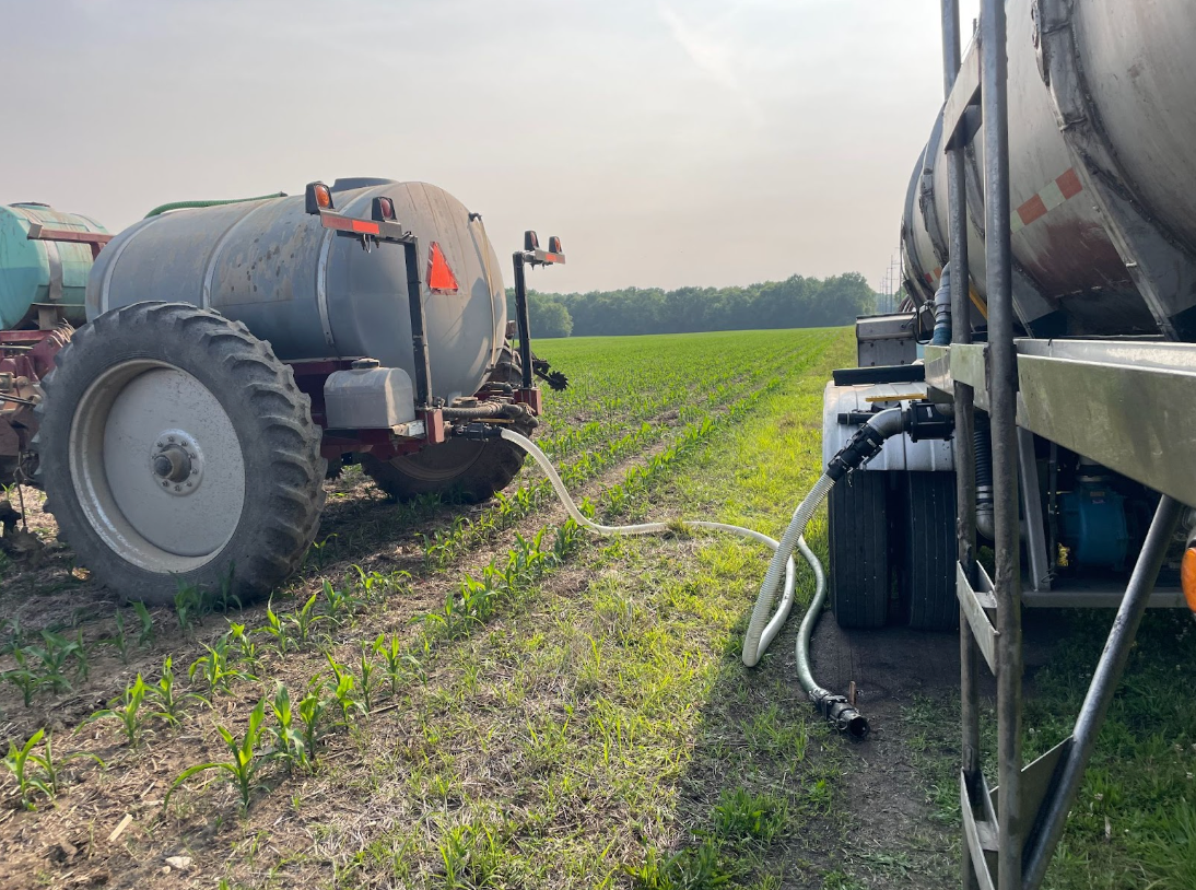 Orthophosphate versus Polyphosphate