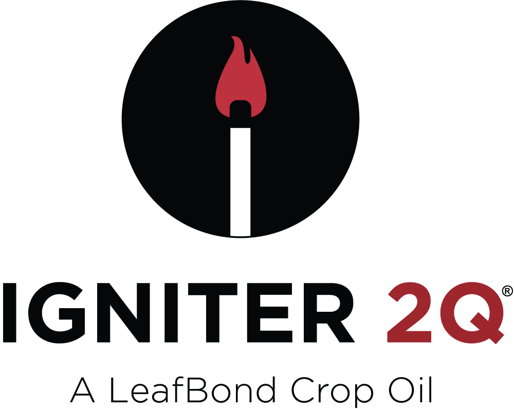 Igniter 2Q logo