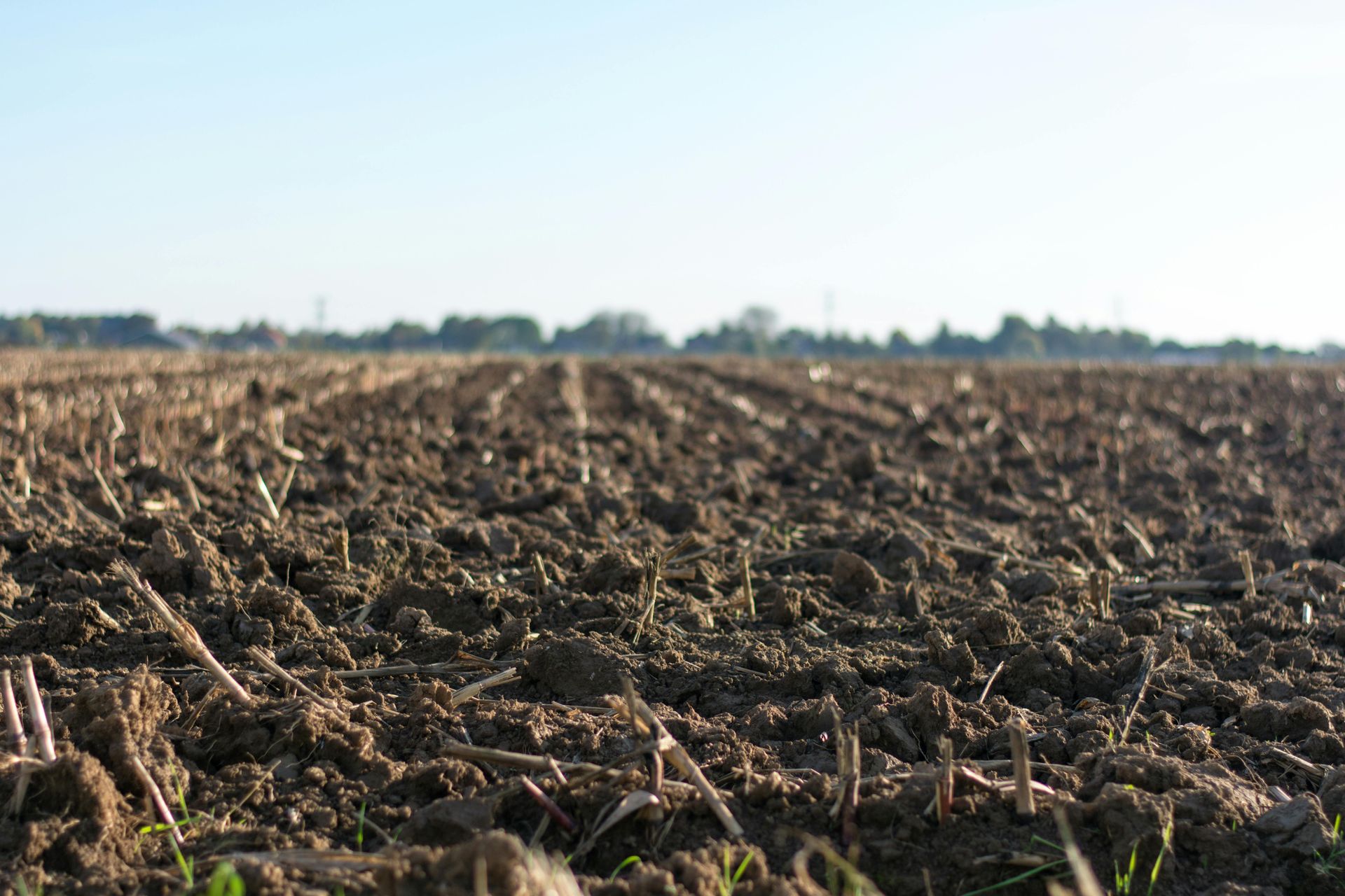 Tilled field