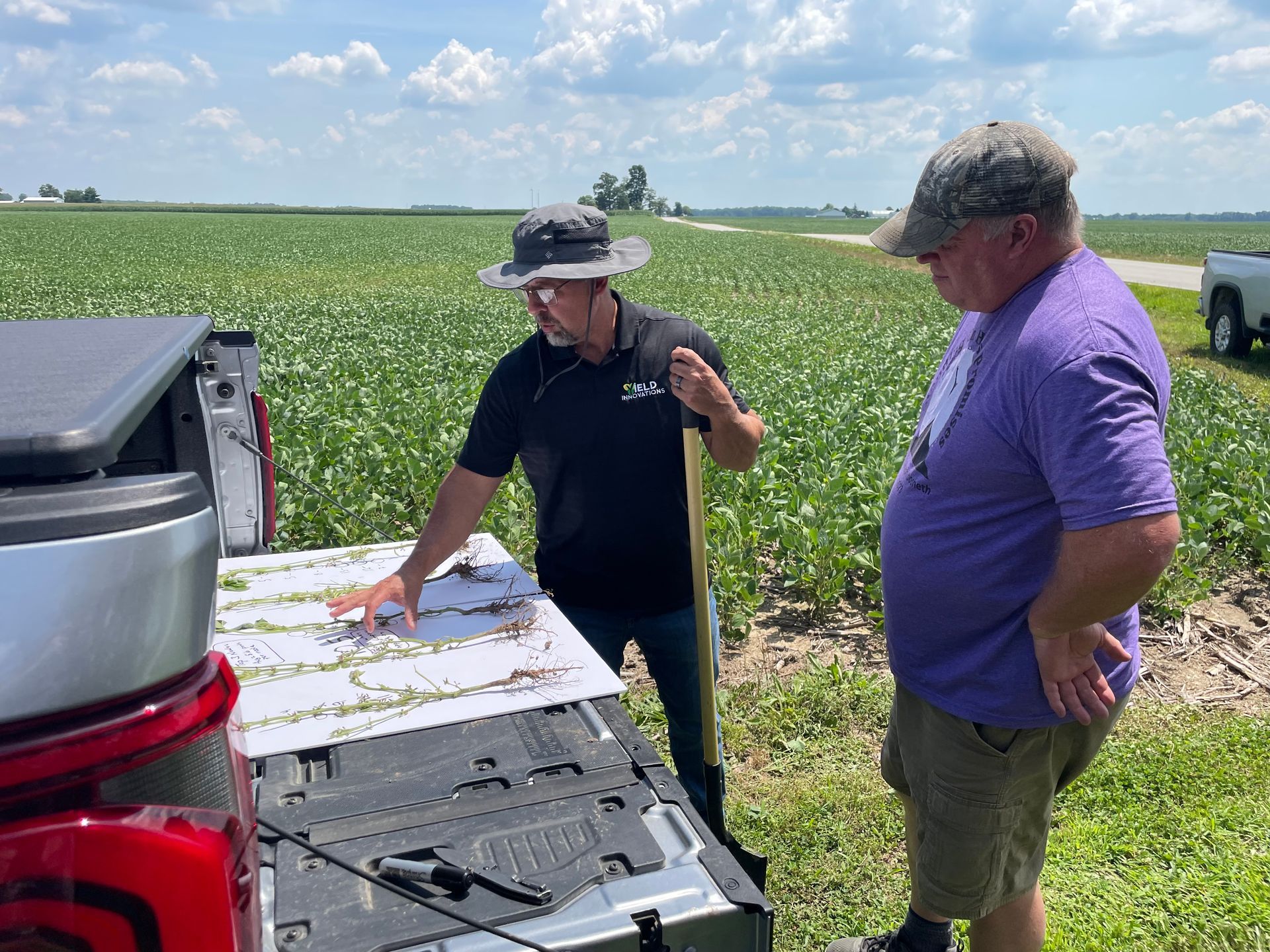 Ryan McAllister, President of Yield Innovations looking at soybean growth