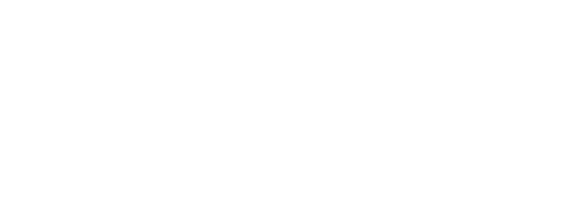 drive509 white logo