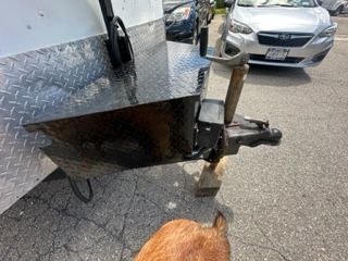 Black trailer hitch with diamond plate, hammer, and brown animal in foreground.
