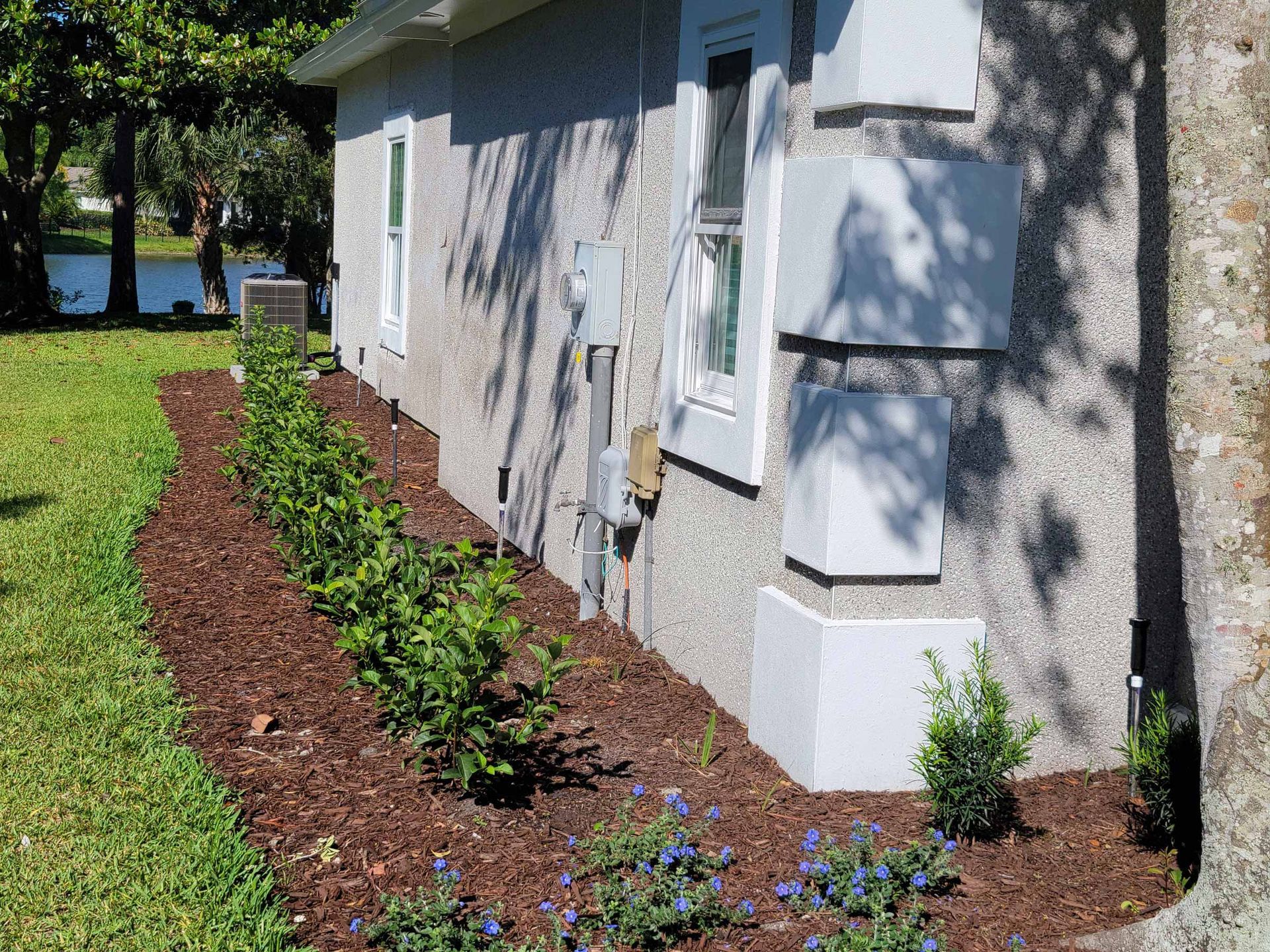 A house with a lot of plants and flowers on the side of it.